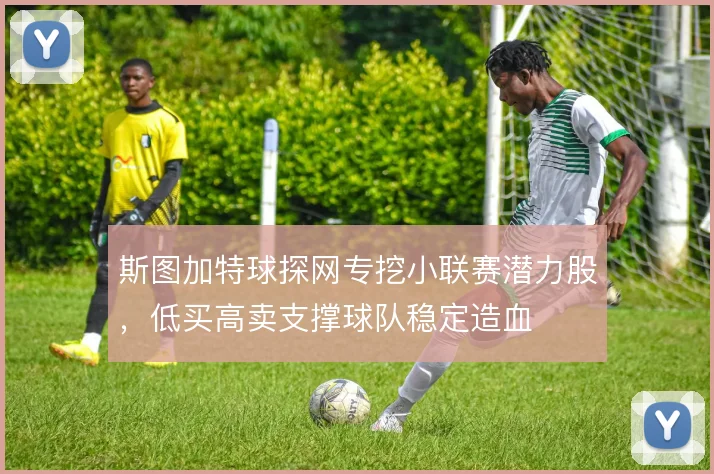 斯图加特球探网专挖小联赛潜力股,低买高卖支撑球队稳定造血